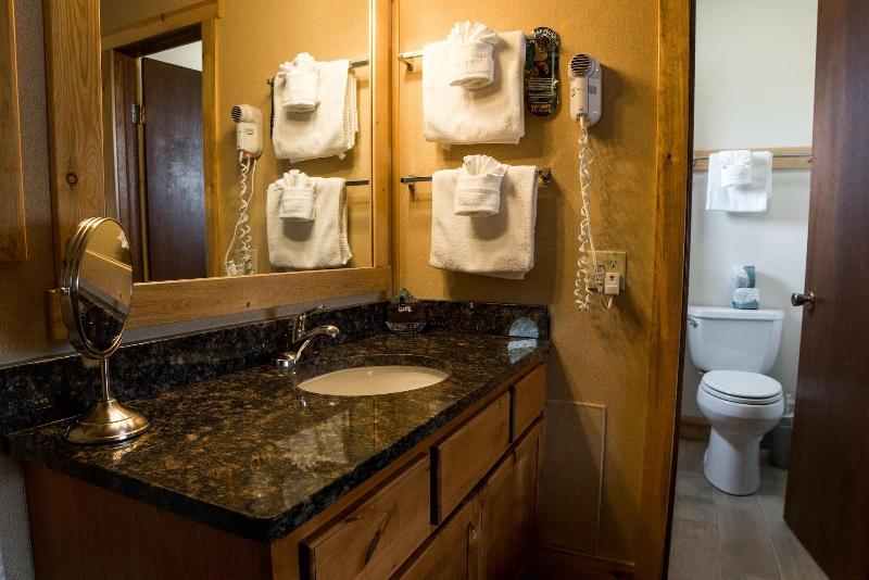 Tyrol Mountain Inn image