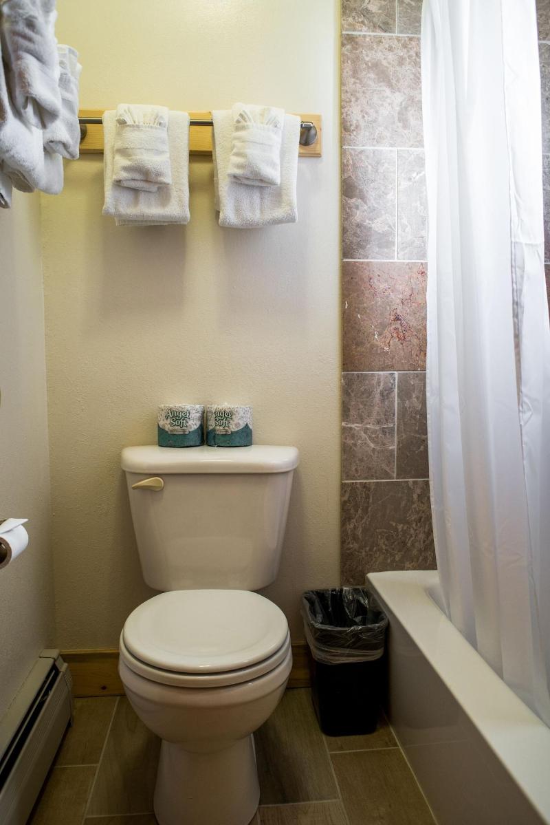 Tyrol Mountain Inn image