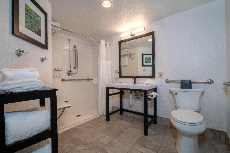 Holiday Inn Estes Park image