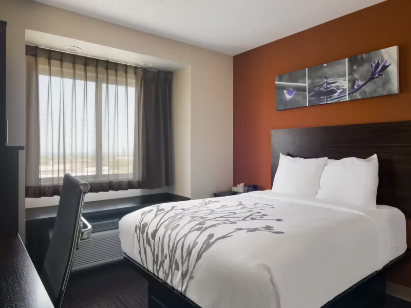 Sleep In image