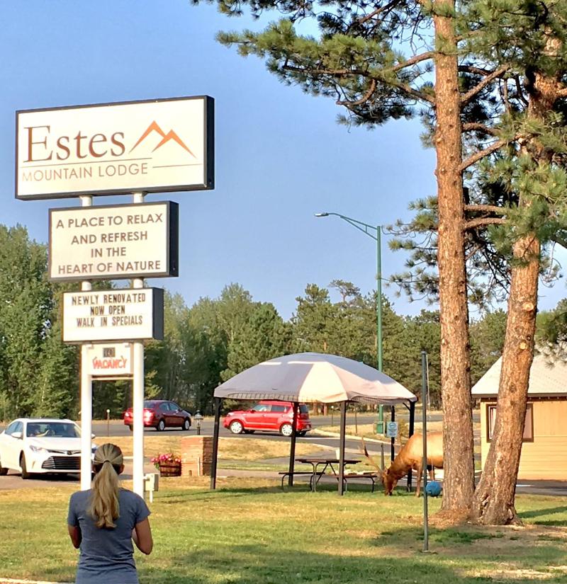 Estes Mountain Lodge