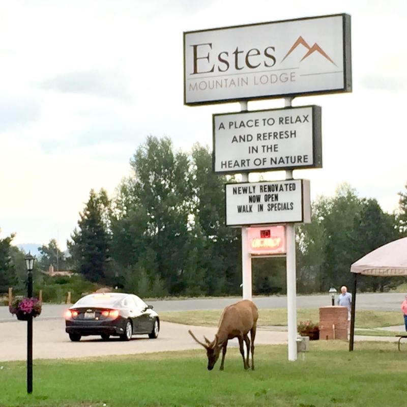 Estes Mountain Lodge