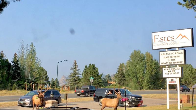 Estes Mountain Lodge
