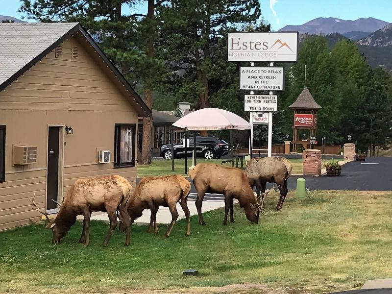 Estes Mountain Lodge, Estes Park