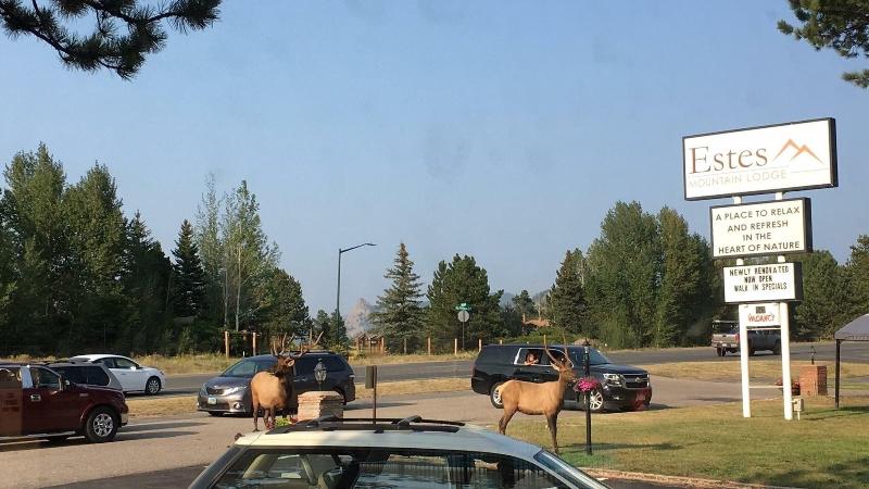 Estes Mountain Lodge