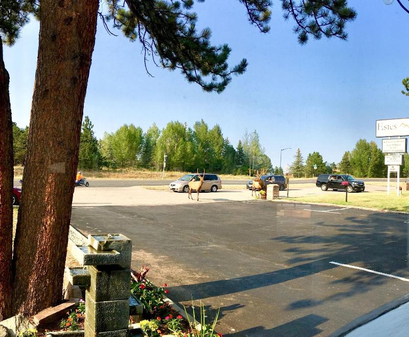 Estes Mountain Lodge