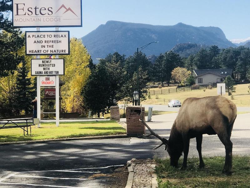 Estes Mountain Lodge