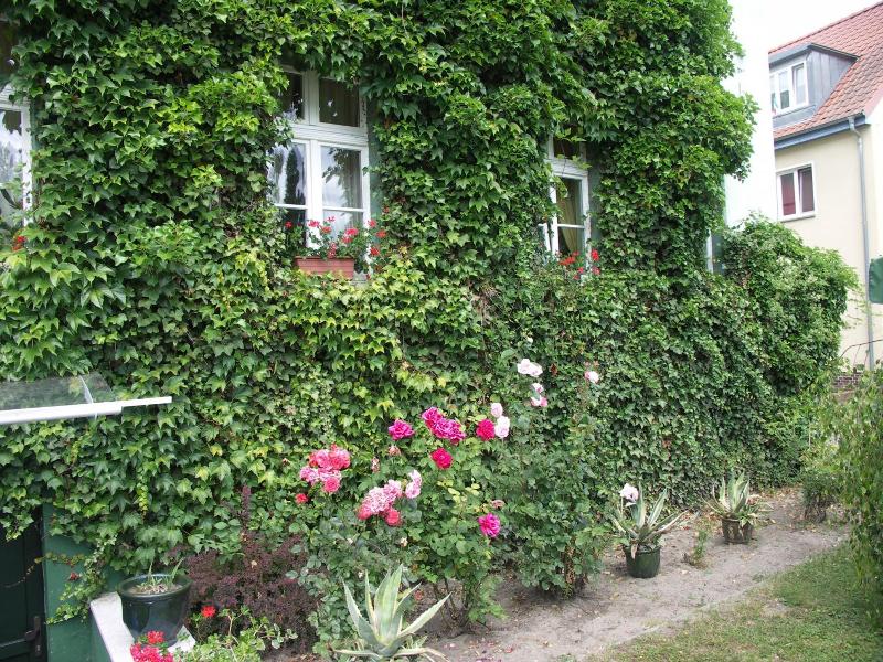 Zur Alten Oder image