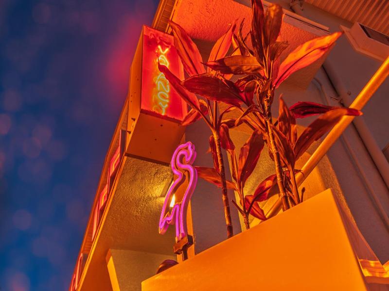 Flamingo Inn image