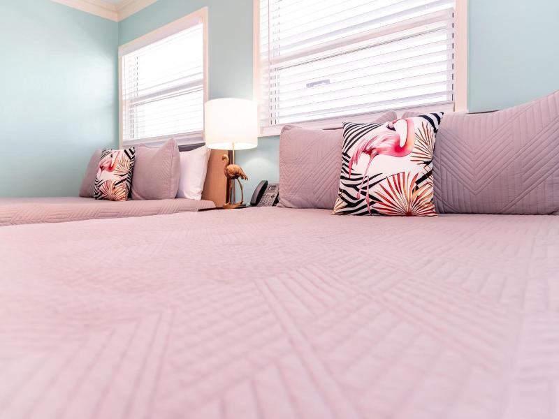 Flamingo Inn image