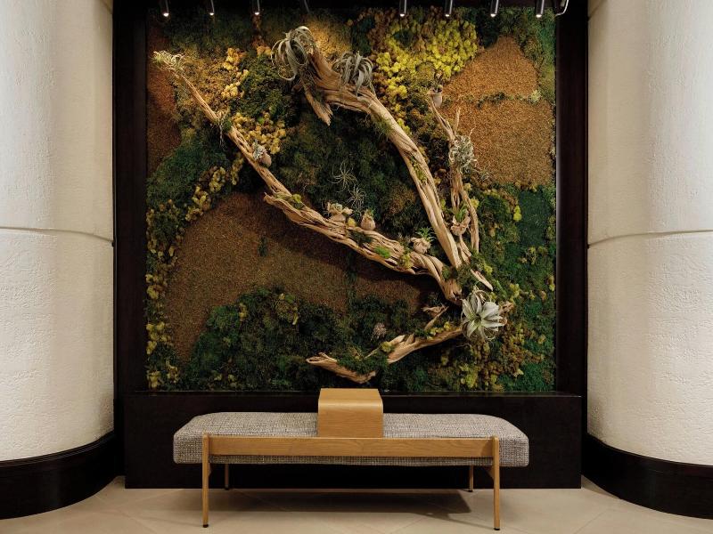 The Westin Fort Lauderdale image