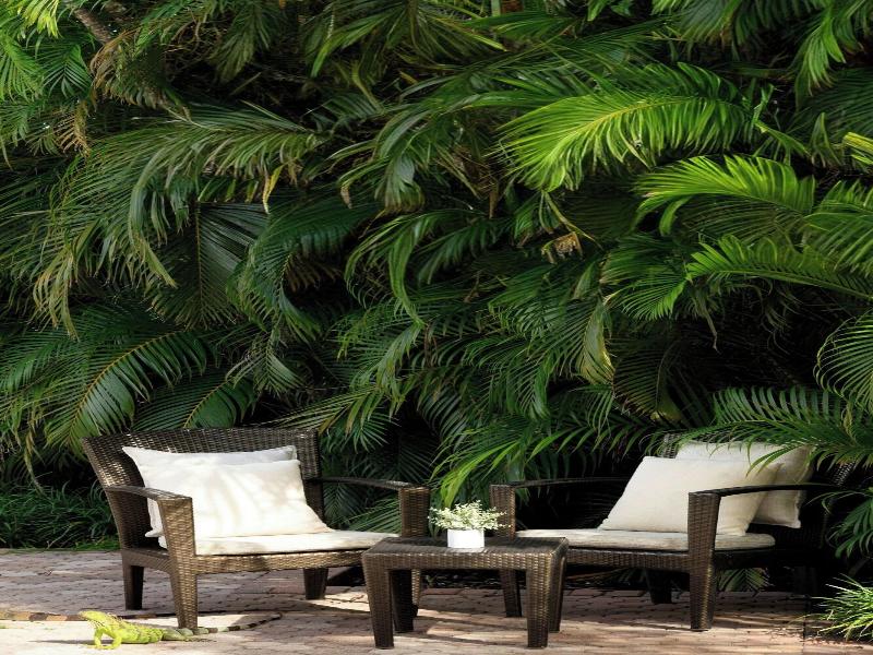 The Westin Fort Lauderdale image