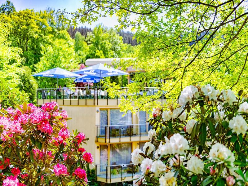 Villa Marburg im Park image