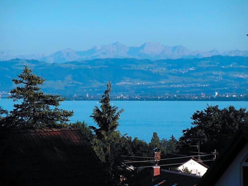 Gasthof Grüner Baum image