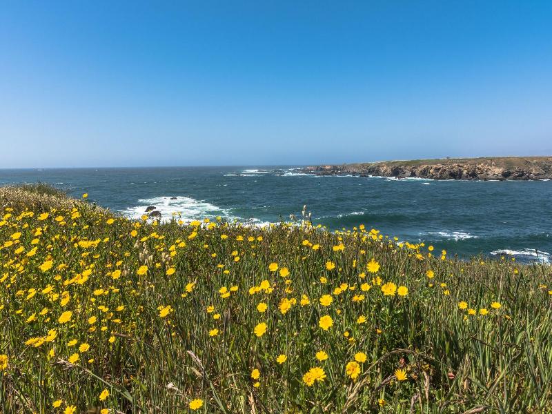 Glass Beach Inn