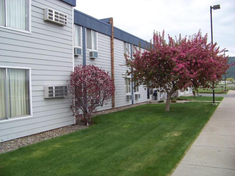 Aero Inn image