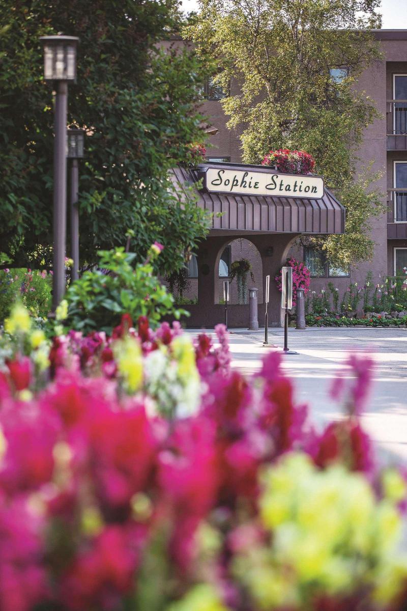 Sophie Station Suites photo 4