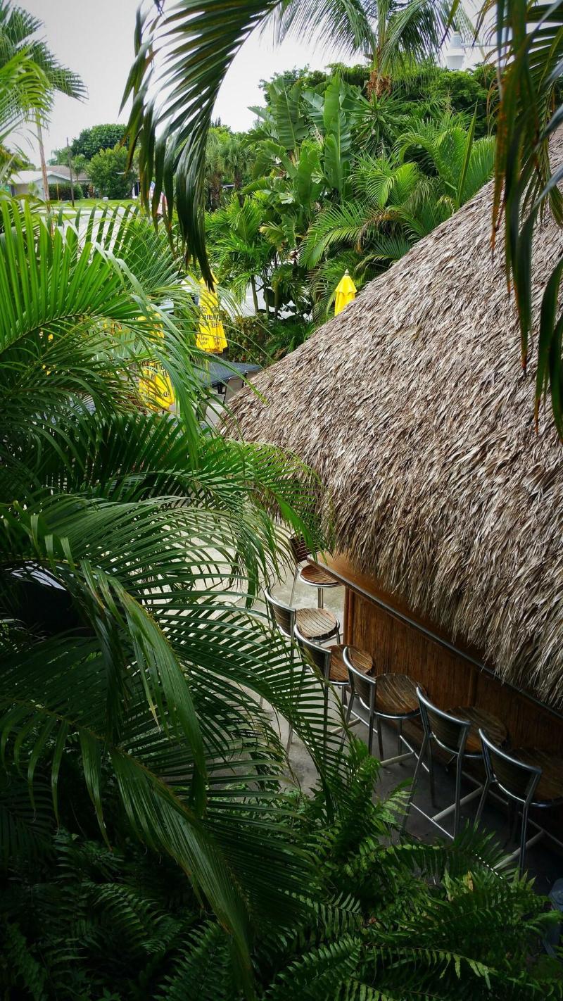 Dolphin Key Resort image