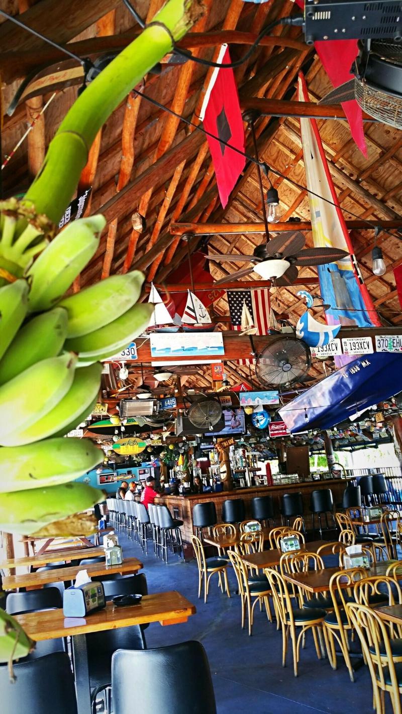Dolphin Key Resort image