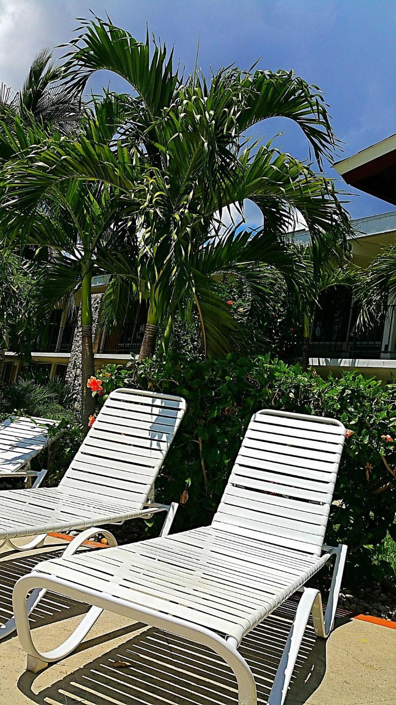 Dolphin Key Resort image