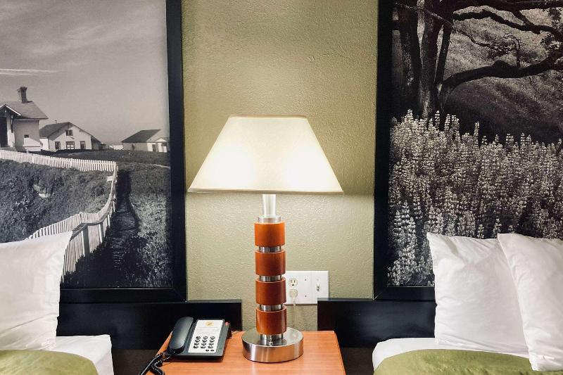 Super 8 by Wyndham Colorado Springs/Afa Area image