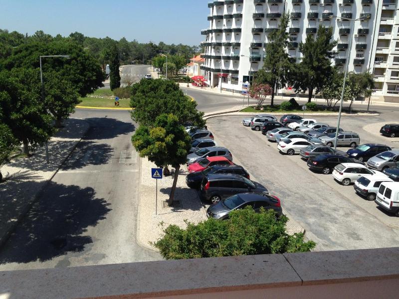 Paiva image
