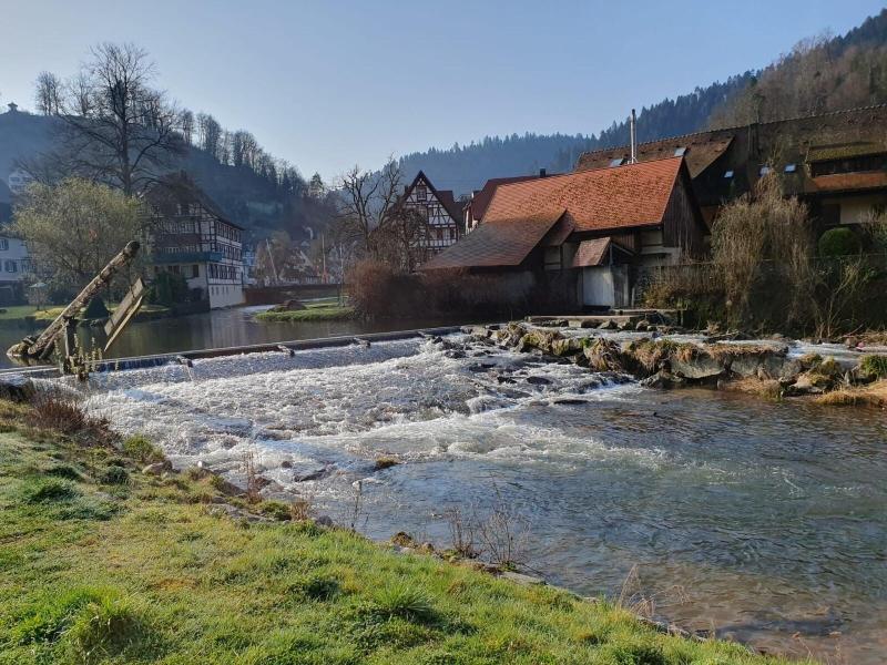 Gasthof Sonne image