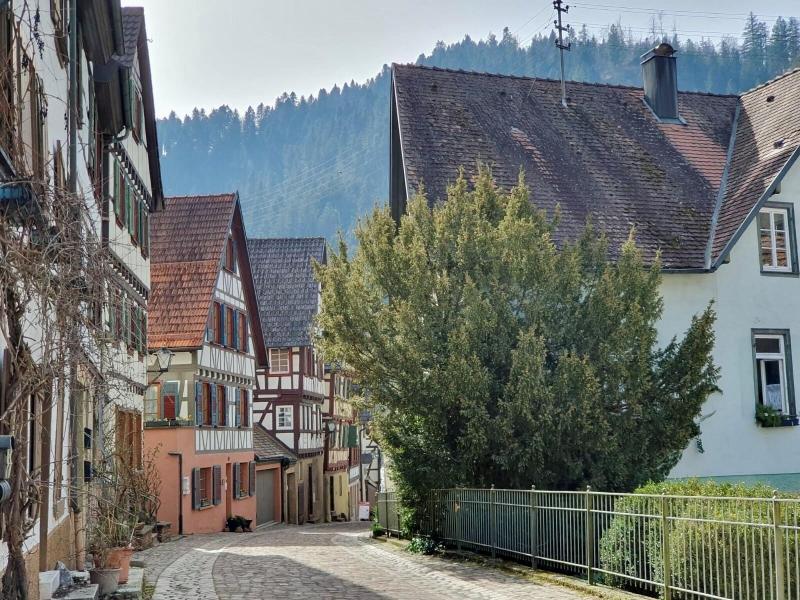 Gasthof Sonne image