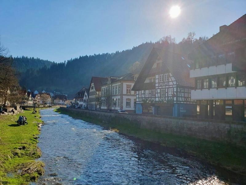 Gasthof Sonne image