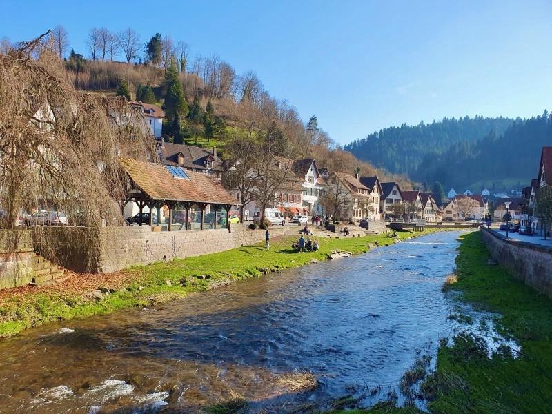 Gasthof Sonne image