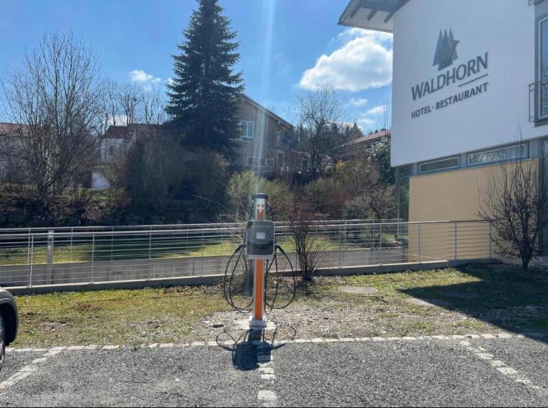 Waldhorn image