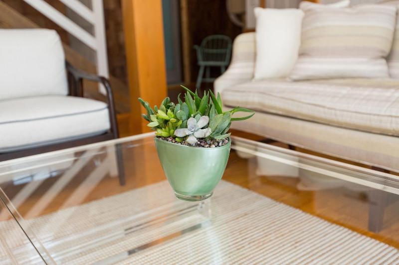Burrus House Inn image