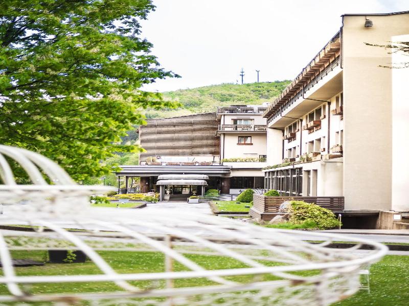 Ròseo Hotel Euroterme image