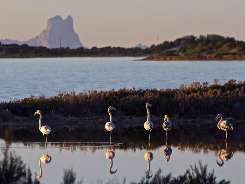 Lago Dorado image