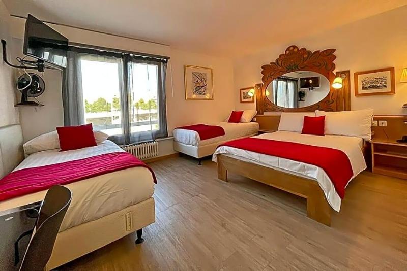 Hotel des Alpes image