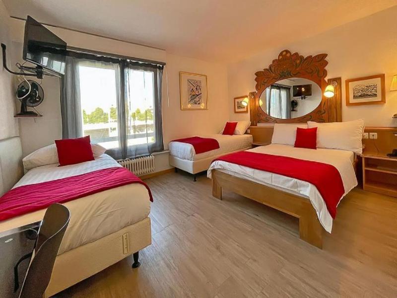 Hotel des Alpes image