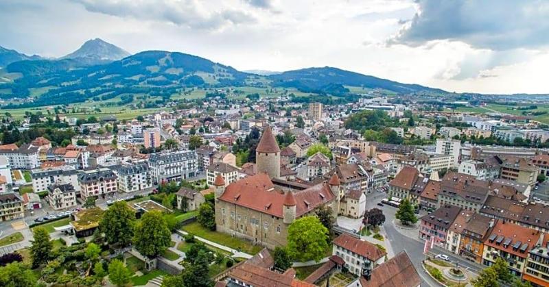 Hotel des Alpes image