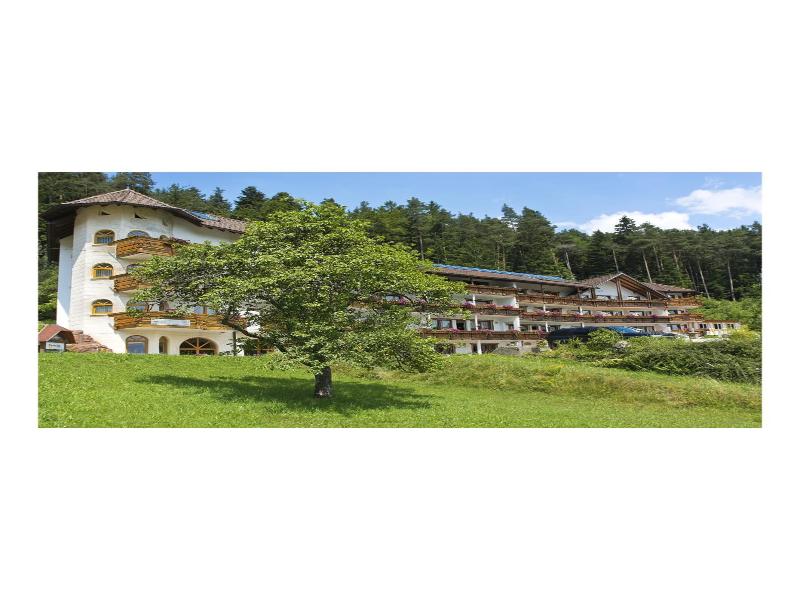 Wellnesshotel Basler Hof am Schlosswald image