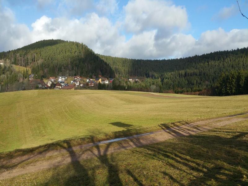 Wellnesshotel Basler Hof am Schlosswald image