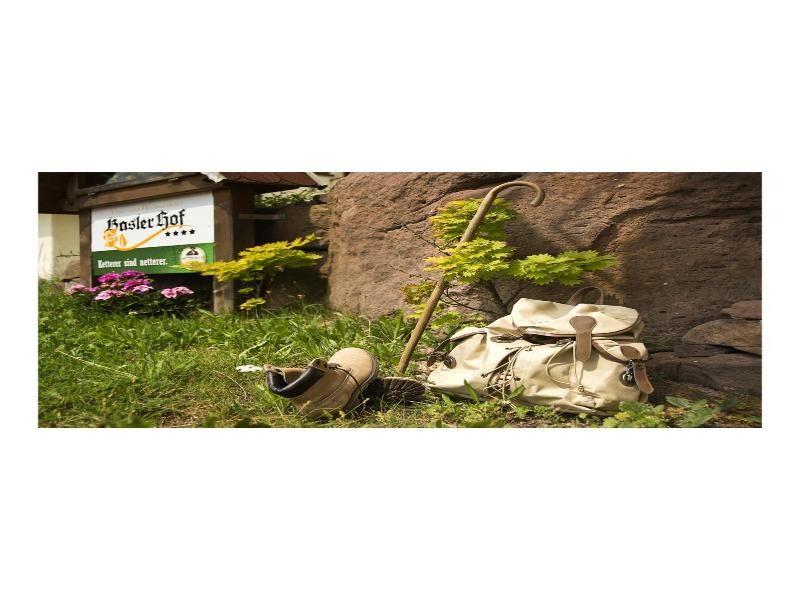 Wellnesshotel Basler Hof am Schlosswald image