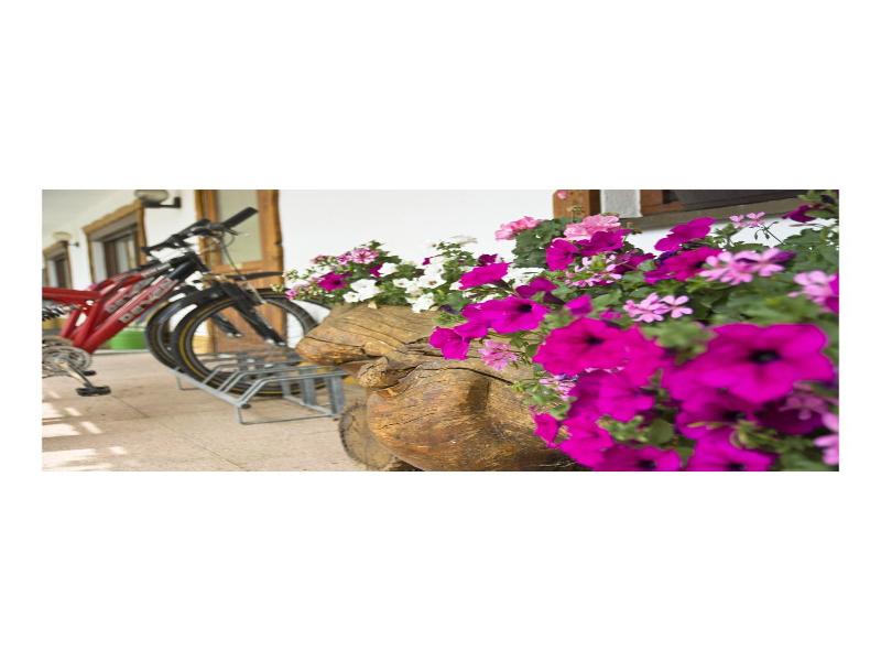 Wellnesshotel Basler Hof am Schlosswald image