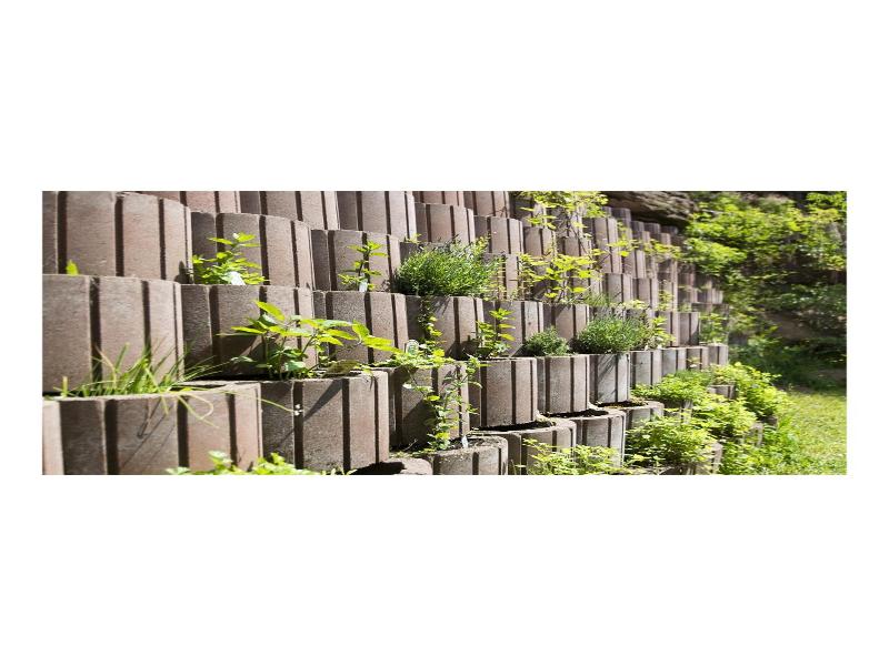 Wellnesshotel Basler Hof am Schlosswald image