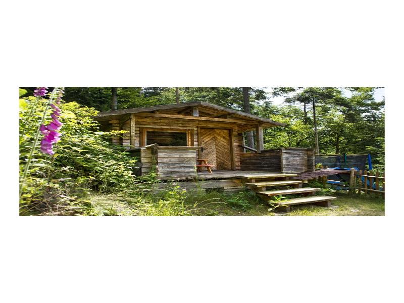 Wellnesshotel Basler Hof am Schlosswald image
