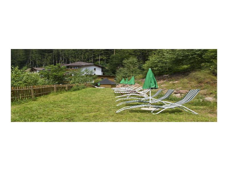 Wellnesshotel Basler Hof am Schlosswald image
