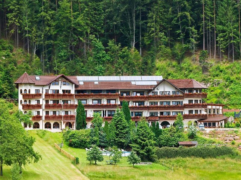 Wellnesshotel Basler Hof am Schlosswald image