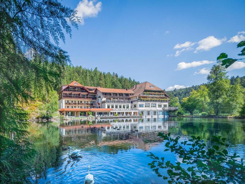 Langenwaldsee image