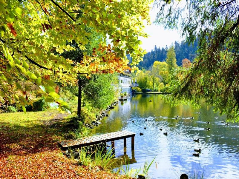 Langenwaldsee image