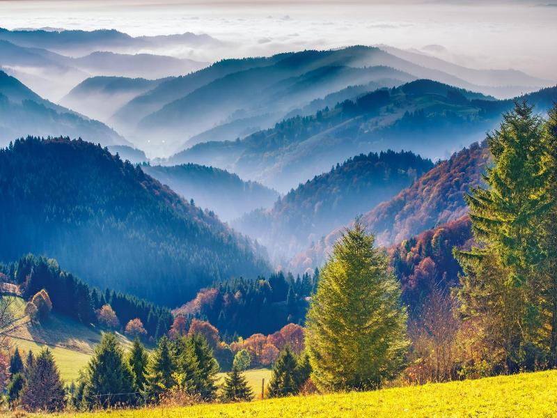 Langenwaldsee image