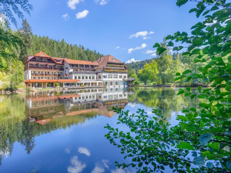 Langenwaldsee image