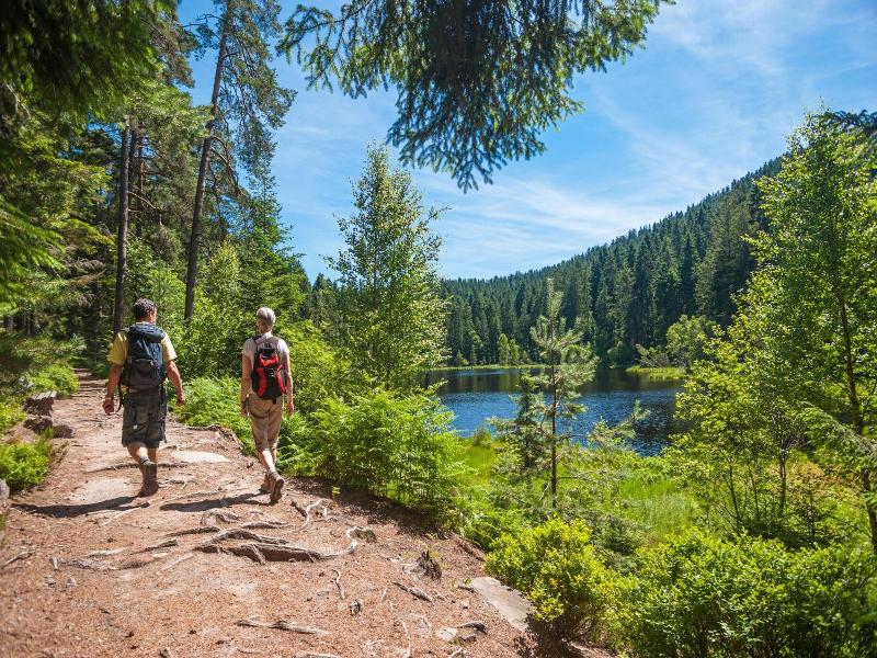 Langenwaldsee image